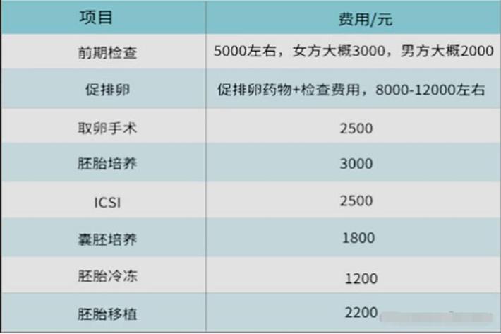 代孕怀双胞胎多少费用